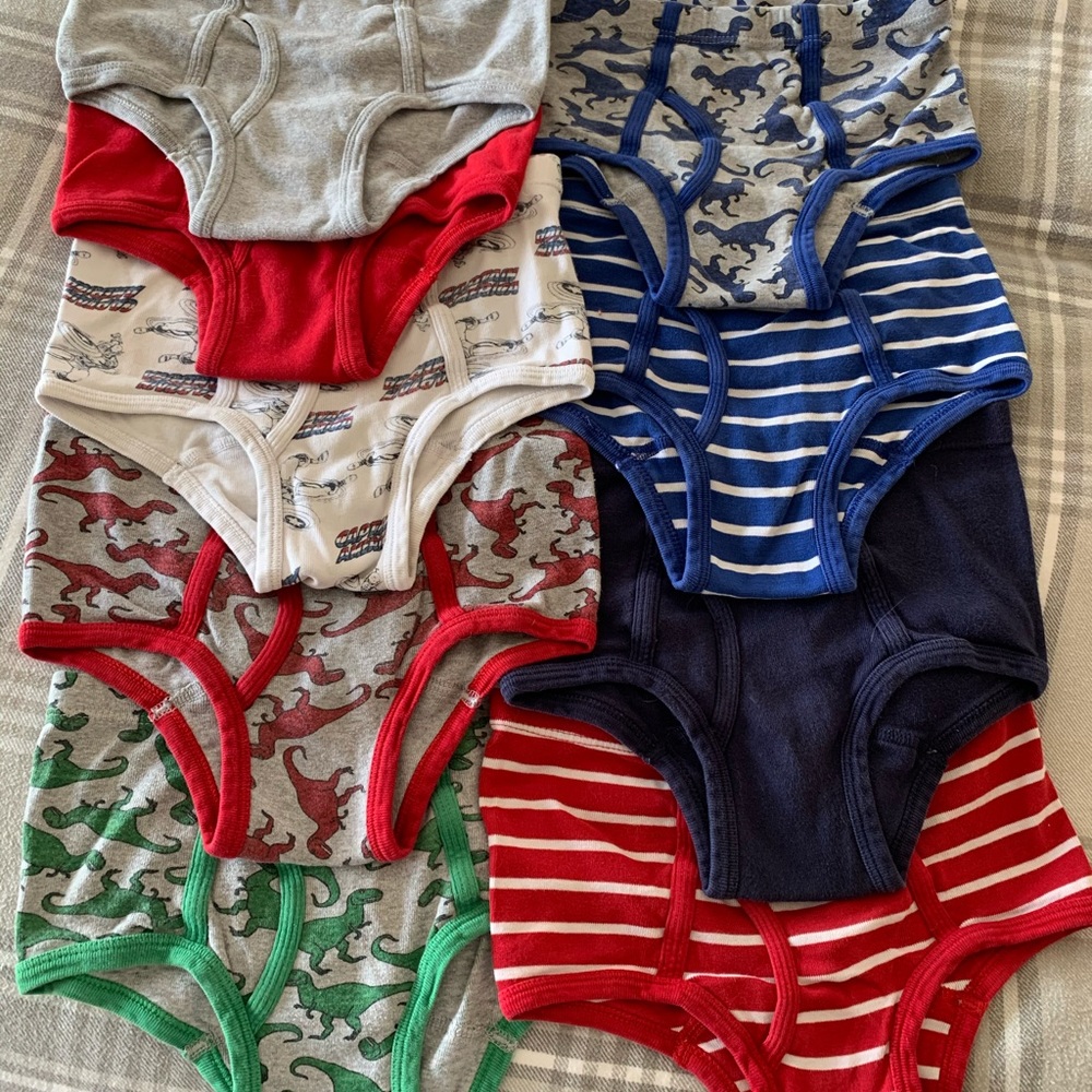 Hanna Andersson Organic Boys’ Underpants 120/130